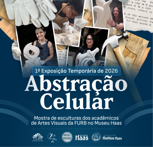 O Educativo no Museu Haas